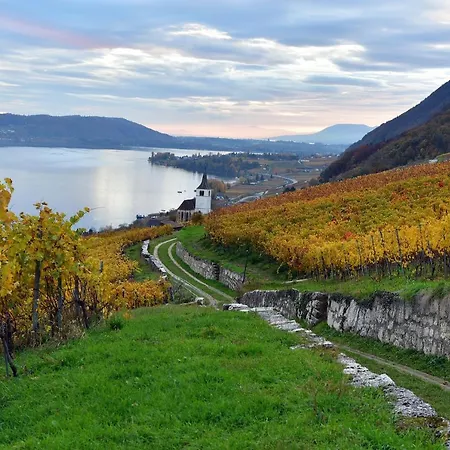 Duplex Allegro Lägenhet La Neuveville