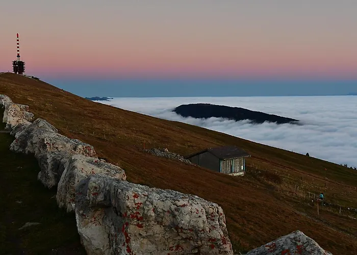 Duplex Allegro Apartamento