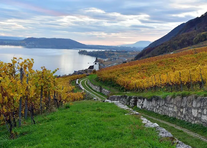 Duplex Allegro Апартаменты Ла-Нёввиль