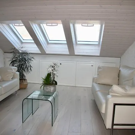 Duplex Allegro Apartament *