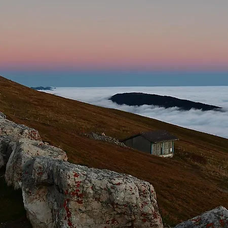 Duplex Allegro Lejlighed